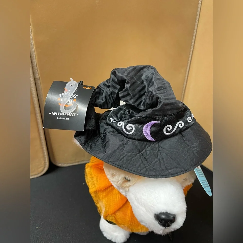 Dog outfit Witches hat, and cat ruff